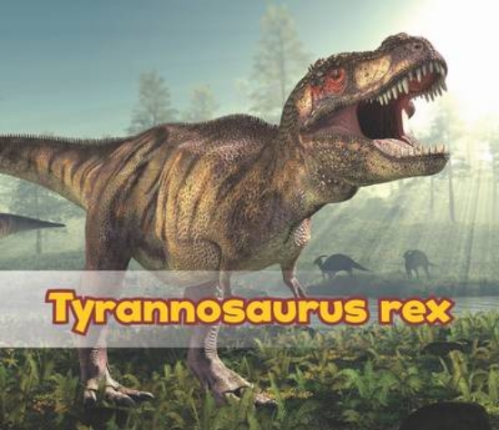 Picture of Tyrannosaurus Rex