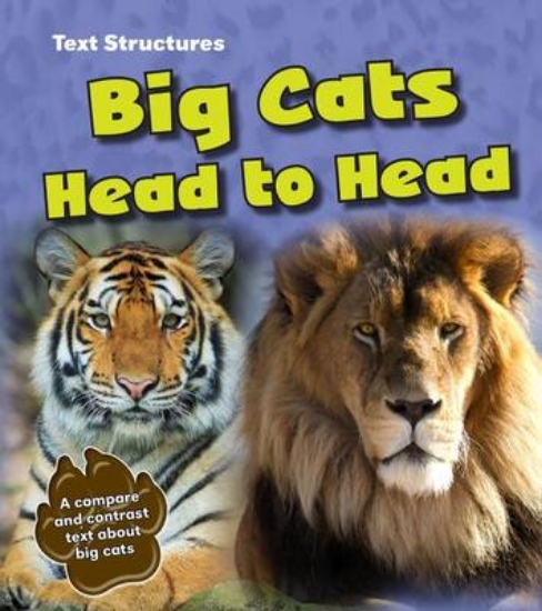 Picture of Big Cats Head to Head