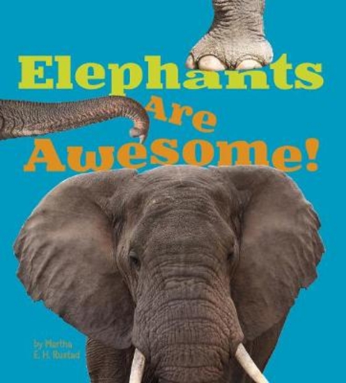 Picture of Elephants Are Awesome!