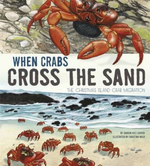 Picture of When Crabs Cross the Sand