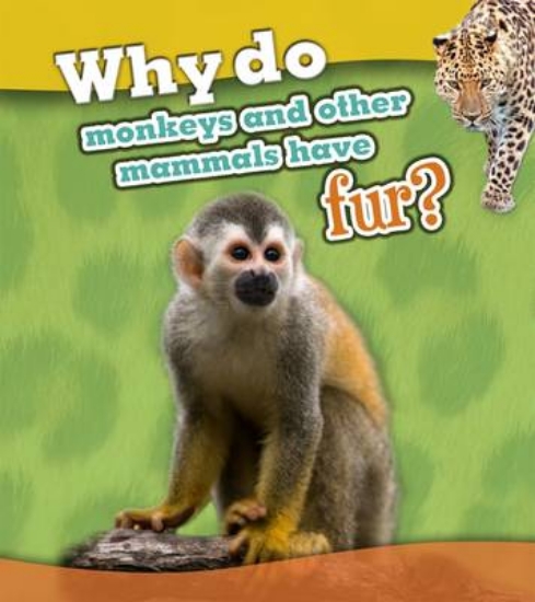 Picture of Why Do Monkeys and Other Mammals Have Fur?
