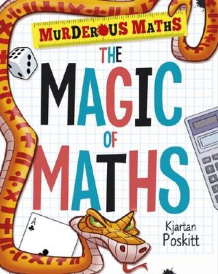 Picture of The Magic of Maths