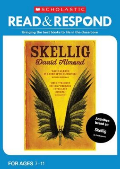 Picture of Skellig