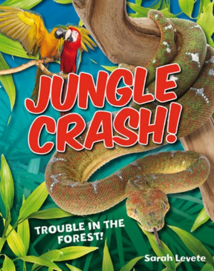 Picture of Jungle Crash!