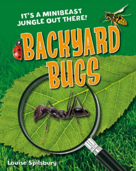 Picture of Backyard Bugs