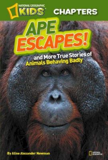 Picture of Ape Escapes