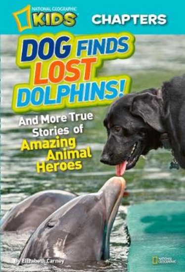 Picture of Dog Finds Lost Dolphins