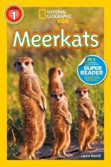 Picture of Meerkats