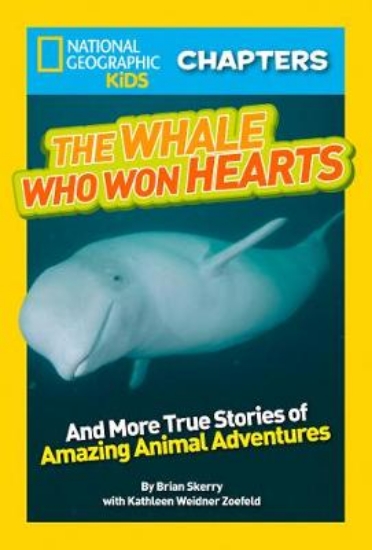 Picture of Whale Who Won Hearts