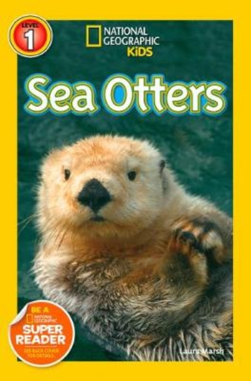 Picture of Sea Otters
