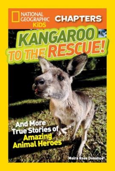 Picture of Kangaroo To The Rescue