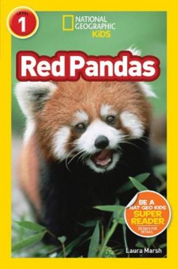 Picture of Red Pandas
