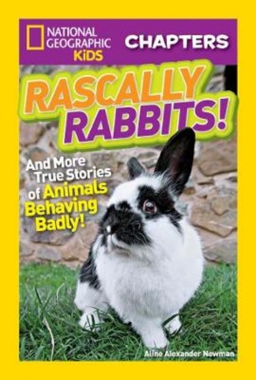 Picture of Rascally Rabbits