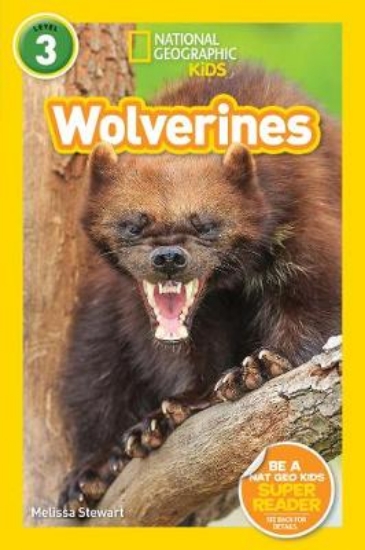 Picture of Wolverines