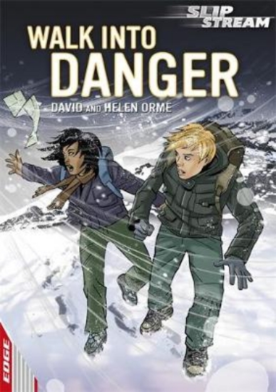 Picture of Walk Into Danger