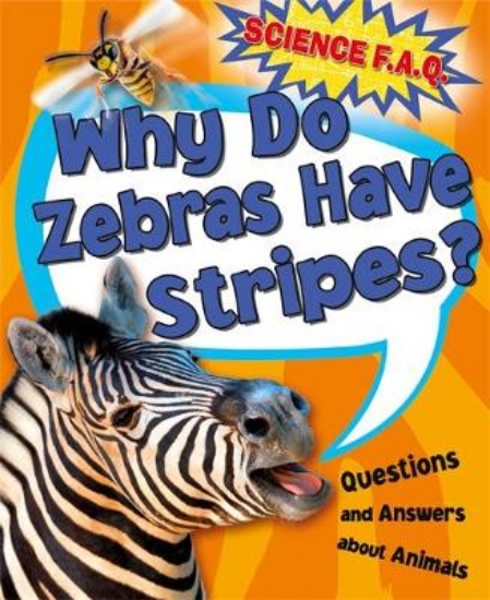 Picture of Why Do Zebras Have Stripes? Questions and Answers