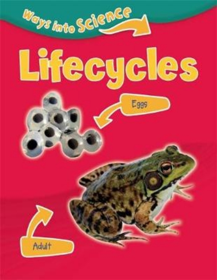 Picture of Ways Into Science: Licecycles Pb