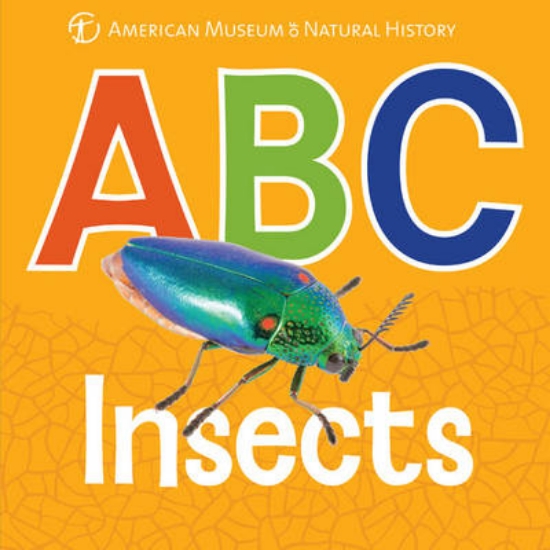 Picture of ABC Insects