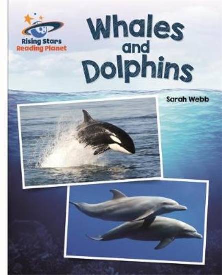 Picture of Whales And Dolphins - White: Galaxy