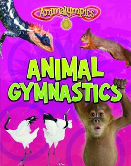 Picture of Animal Gymnastics