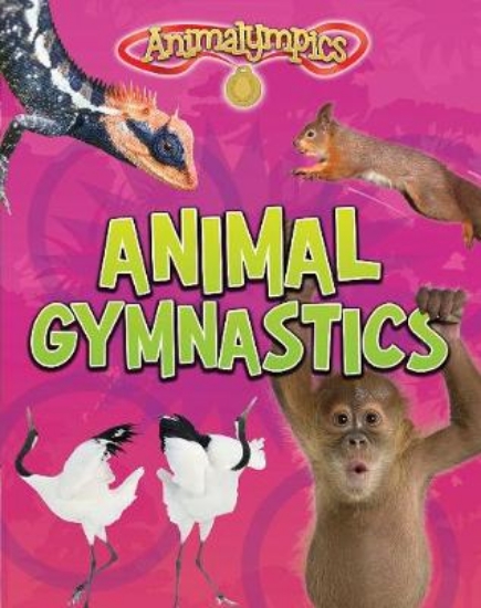 Picture of Animal Gymnastics