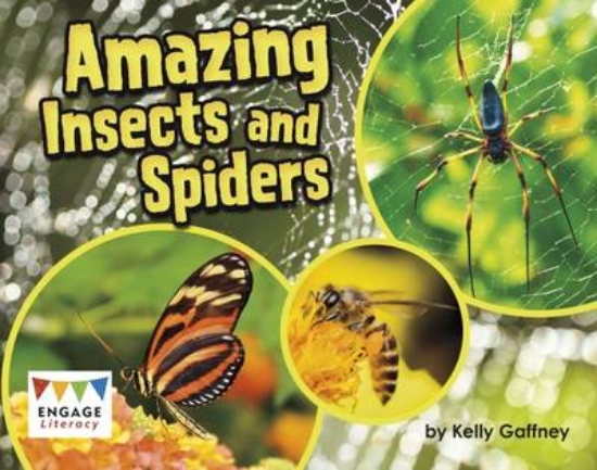 Picture of Amazing Insects and Spiders