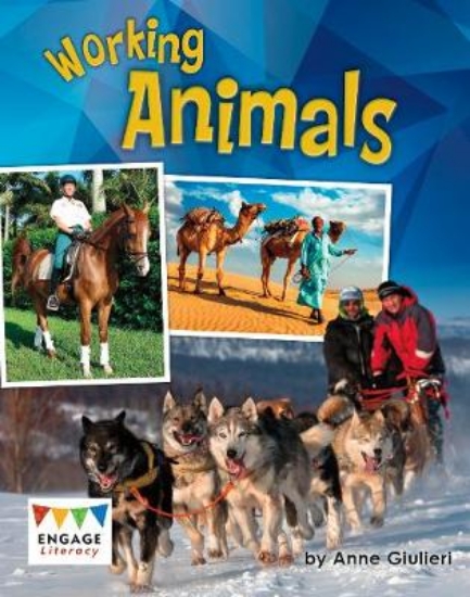 Picture of Working Animals