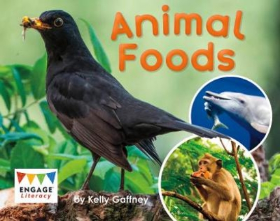 Picture of Animal Foods