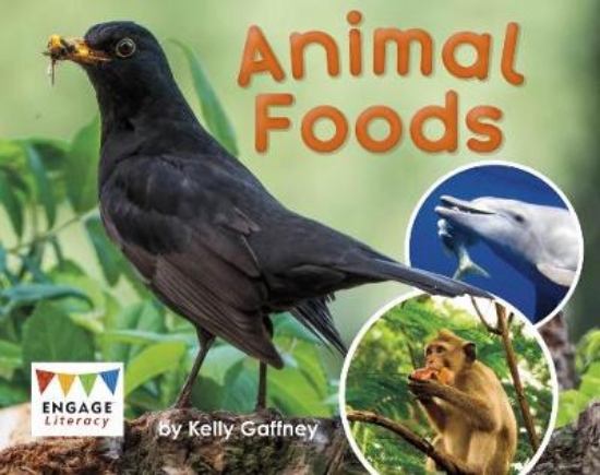 Picture of Animal Foods