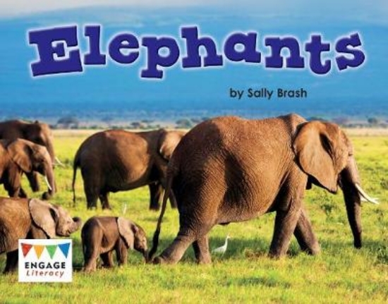 Picture of Elephants
