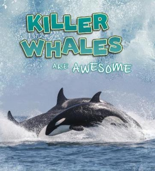 Picture of Killer Whales Are Awesome