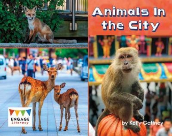 Picture of Animals In the City