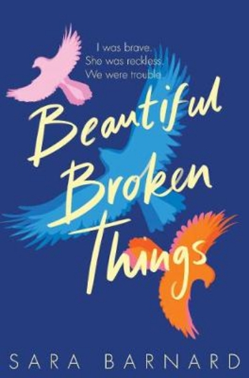 Picture of Beautiful Broken Things