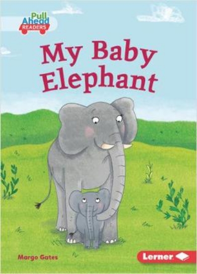 Picture of My Baby Elephant