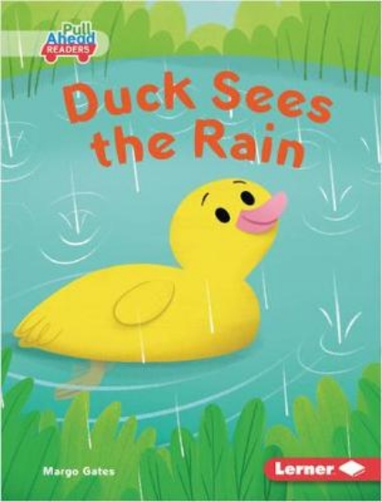 Picture of Duck Sees the Rain