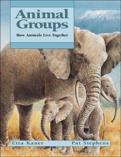 Picture of Animal Groups