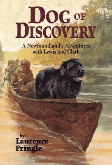 Picture of Dog of Discovery