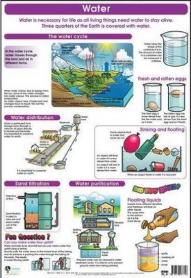 Picture of Water : Gr 4