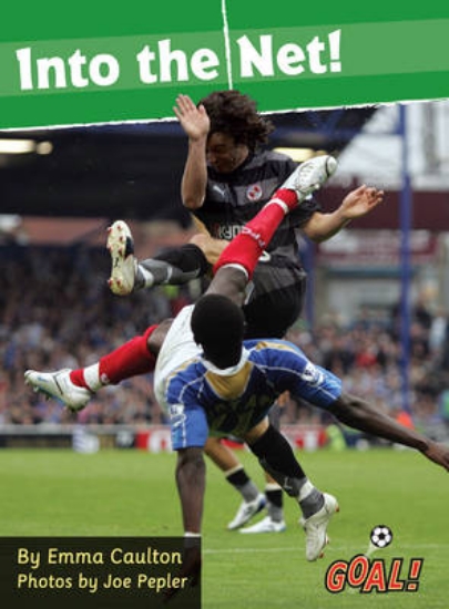 Picture of Into the Net!