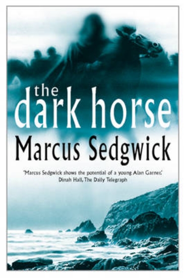 Picture of The Dark Horse