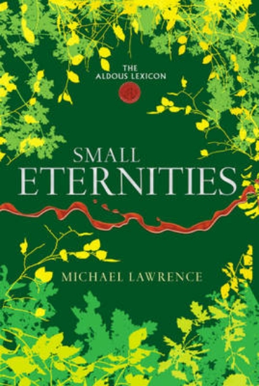 Picture of Small Eternities