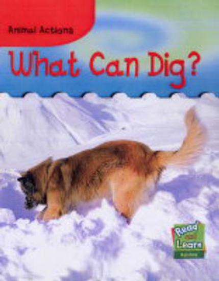 Picture of Animal Actions What Can Dig?