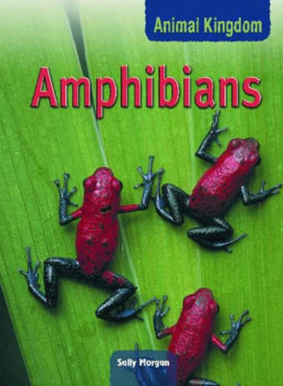 Picture of Animal Kingdom: Amphibians