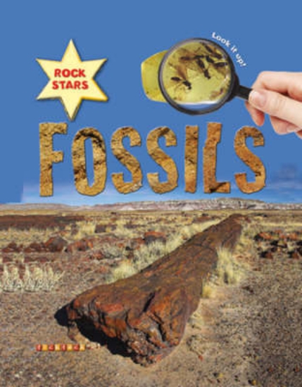 Picture of Rock Stars Fossils