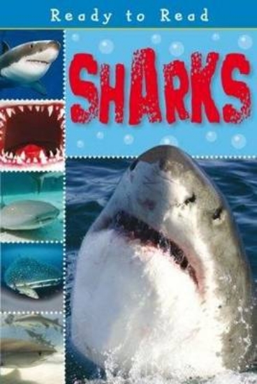 Picture of Sharks