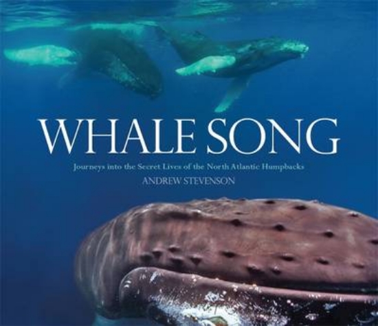Picture of Whale Song