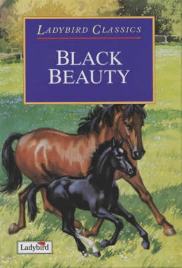 Picture of Black Beauty