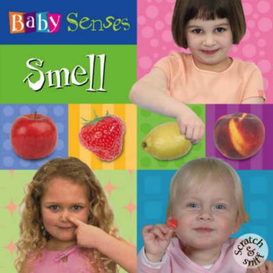 Picture of Baby Senses