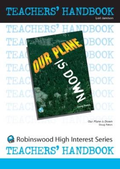 Picture of Our Plane is Down