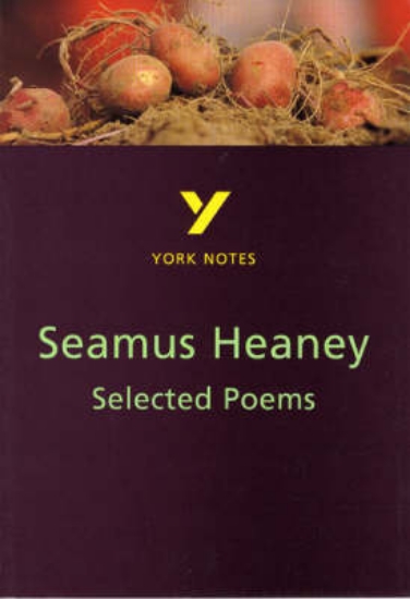 Picture of York Notes: Selected Poems Study Guide GCSE